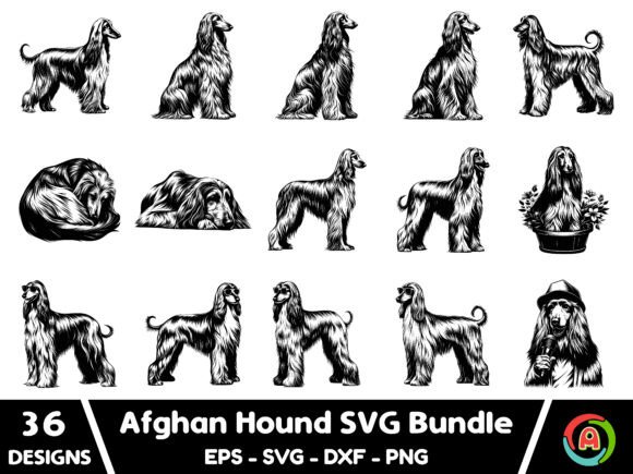 Afghan Hound Dog SVG Bundle