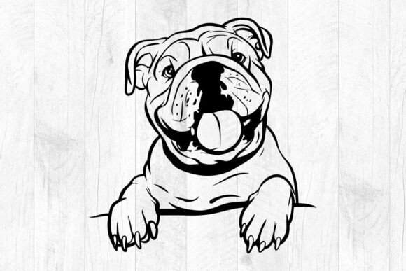 American Bulldog Svg for Embroidery