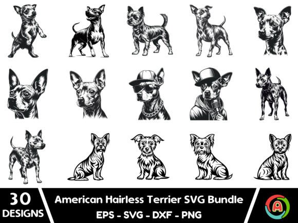 American Hairless Terrier Dog SVG Bundle