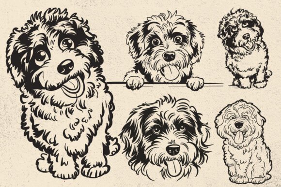 Aussiedoodle Dog Svg Files