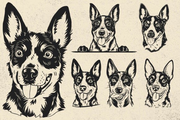 Australian Cattle Dog Svg