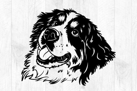 Bernese Mountain Dog Svg Files