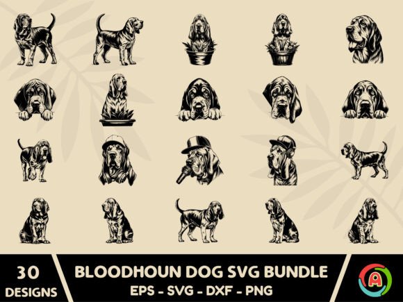 Bloodhound Dog Svg Bundle