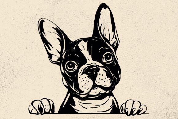 Boston Terrier Svg for Embroidery
