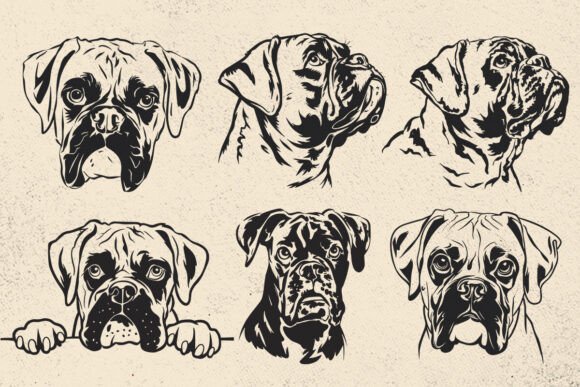 Boxer Dog Svg for Real Projects