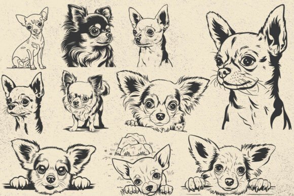 Chihuahua SVG Bundle for Embroidery