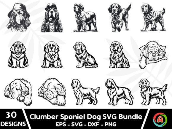 Clumber Spaniel Dog SVG Bundle