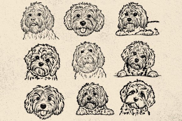 Cute Cavapoo SVG for Embroidery