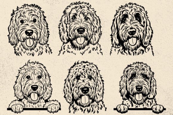 Golden Doodle Svg for Real Projects