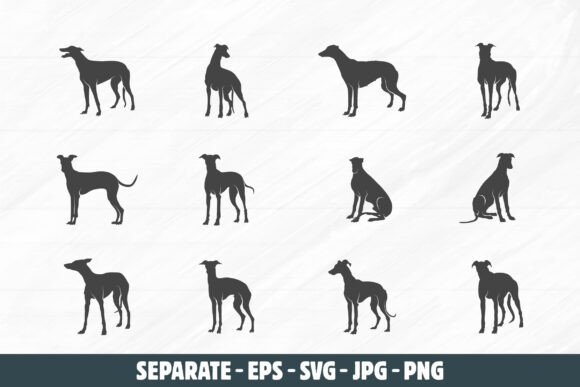 Greyhound Dog Svg for Real Projects