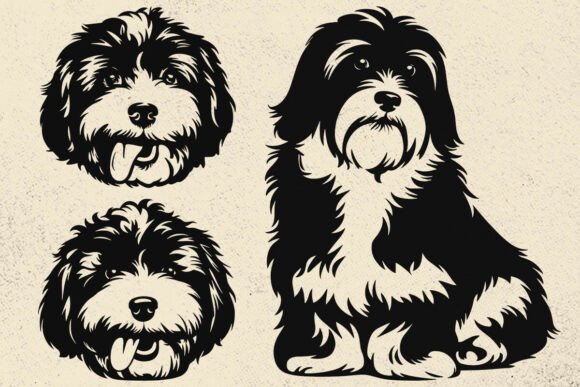 Havanese Svg, Dog Svg