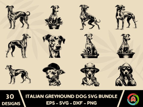 Italian Greyhound Dog Svg Bundle