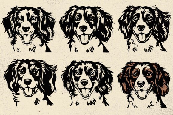 Kooikerhondje Dog Svg Files for Cricut