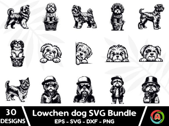 Lowchen Dog SVG Bundle