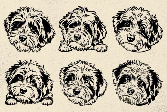 Mini Aussiedoodle Dog Svg Files