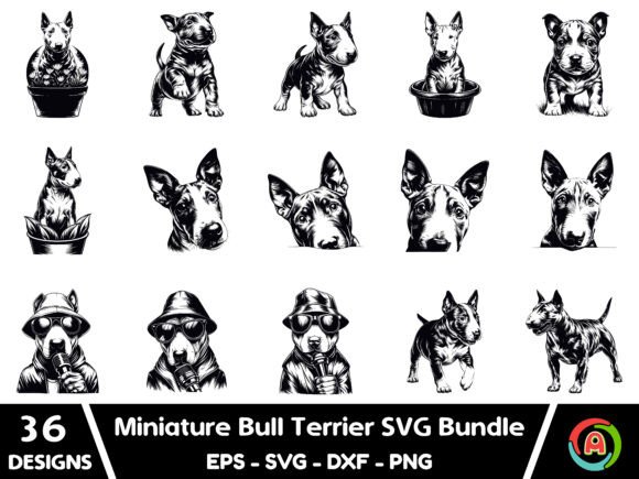Miniature Bull Terrier Dog Svg Bundle