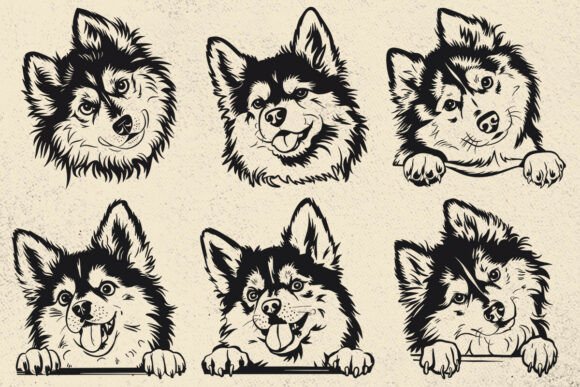 Pomsky Svg for Cricut