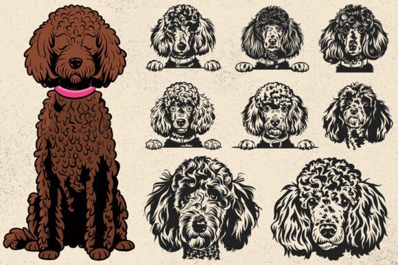 Poodle Svg for Custom Projects