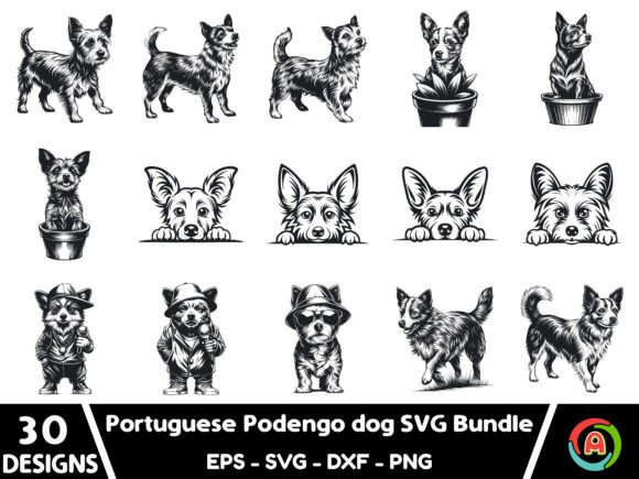 Portuguese Podengo Dog SVG Bundle