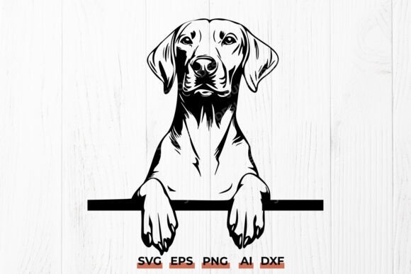 Rhodesian Ridgeback Guard Dog SVG DXF