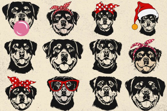 Rottweiler Svg for Embroidery
