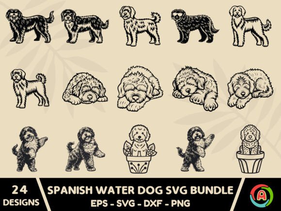 Spanish Water Dog Svg Bundle