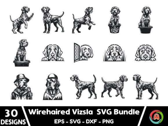 Wirehaired Vizsla Dog SVG Bundle